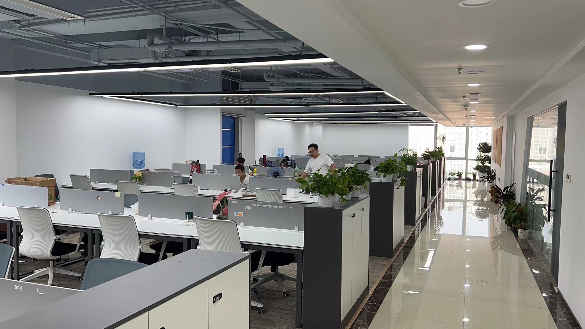 China Pro-Digital Technology Limited company profile